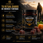 HimaGold™ Shilajit Energy Gummies Energía Natural, Enfoque y Vitalidad Diaria